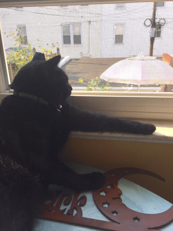 /Images/uploads/Humane Rescue Alliance/HRACalendarPhotoContest/entries/9106thumb.jpg
